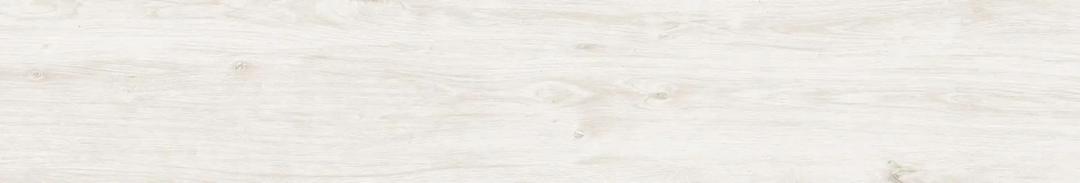 EVERGLADE SILVER GRAY 8X48 R - ll1bipozdfcfsgil2055@2x.jpg