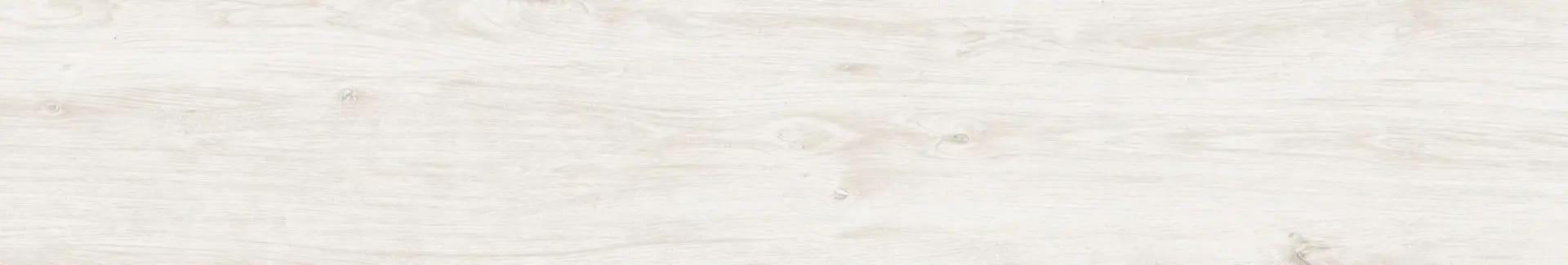 EVERGLADE SILVER GRAY 8X48 R