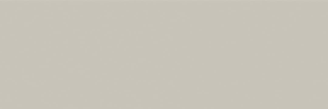 Hawthorne Scholarly Gray Rectangle, Bevel 4X12 Glossy - ll6prlohumy77m0mk46y@2x.jpg