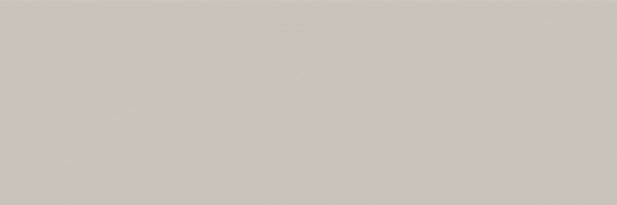 Hawthorne Scholarly Gray Rectangle, Bevel 4X12 Glossy - ll6prlohumy77m0mk46y@2x.jpg