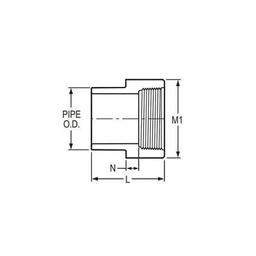 Female Adapter, 2 in, Spigot x FNPT, SCH 40/STD, PVC - lnlfhrozmuqek1mc816w@2x.jpg
