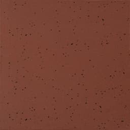 Quarry Naturals Harvest Red Blend Square 6X6 Abrasive - lnzvrvtowethfhgvt8dp@2x.jpg