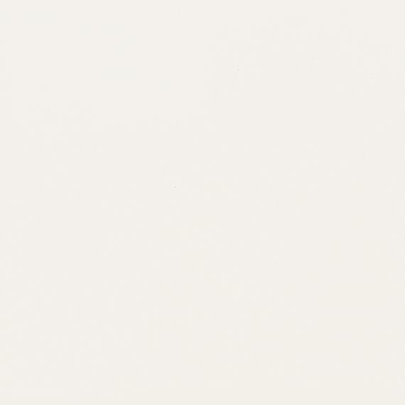 Color Story Floor Matte Designer White Rectangle 12X24 Matte - lpb2eorvkccqgt66owcd@2x.jpg