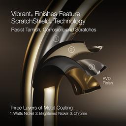 Forte 2.5 GPM Multi Function Shower Head - lqvkurqoh1tqv1ud622b@2x.jpg