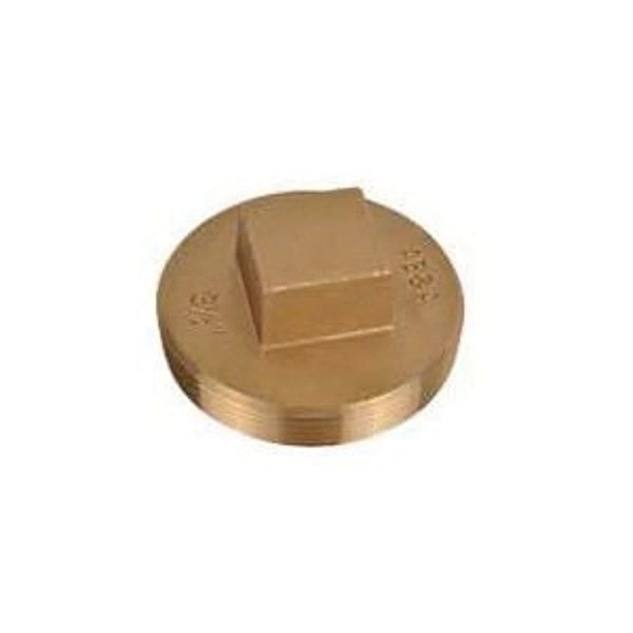 Raised Head Plug, 6 in, MNPT, Brass, Rough Brass - ltjnnuw98zrtcygkb6hx@2x.jpg