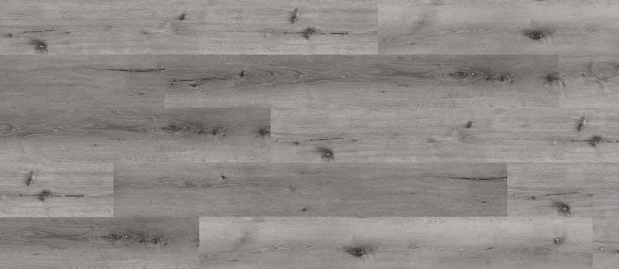 Harvard Oak