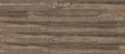 American Elm - luu27p3fuhlrzkttxkpn@2x.jpg