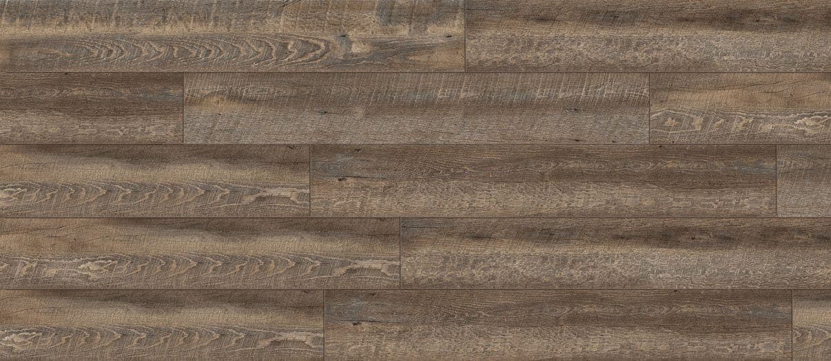 American Elm