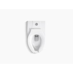Kingston™ Ultra Toilet Bowl, Wall Mount, ADA, Elongated, Flushometer, White - luuhuxzibl7bexxtzqij@2x.jpg