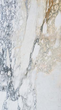 Calacatta Black Polished - lxfhdxwhrn18xm4dujac@2x.jpg