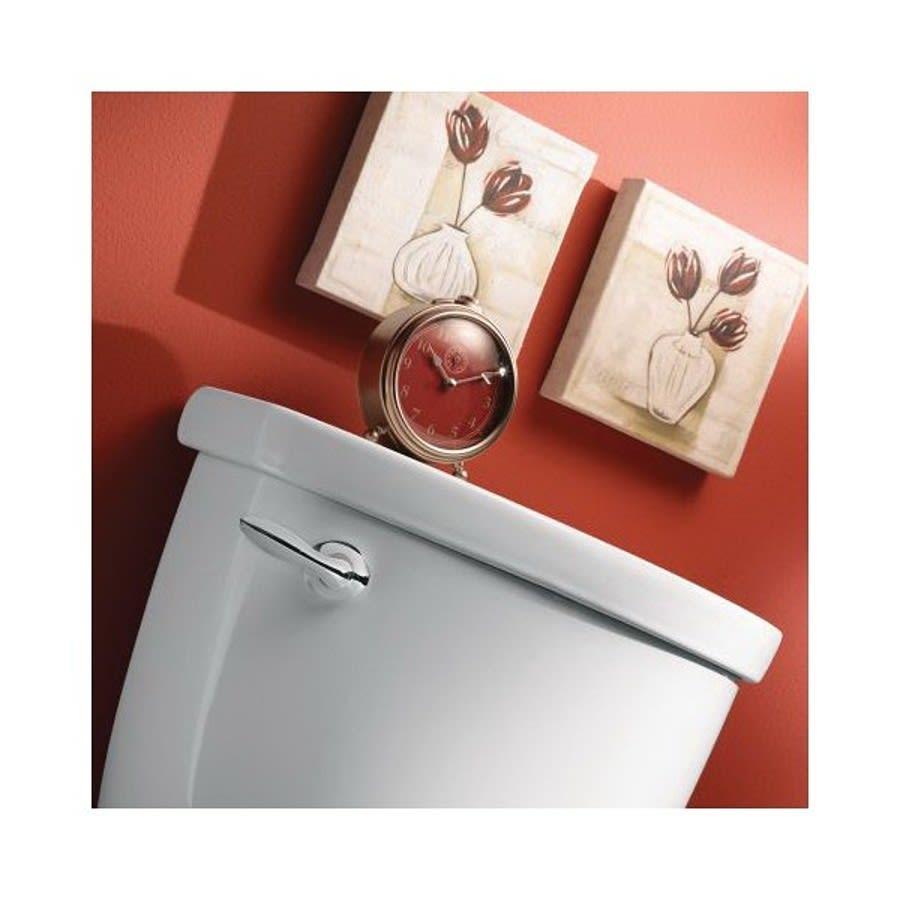 Eva™ Universal Trip Lever, Polished Chrome - lybvvcd9jbqbhstv5yh4@2x.jpg