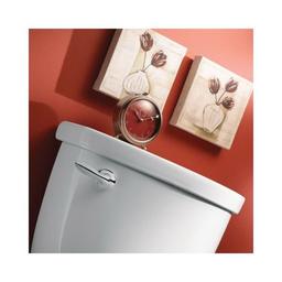 Eva™ Universal Trip Lever, Polished Chrome - lybvvcd9jbqbhstv5yh4@2x.jpg