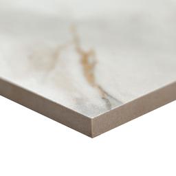 Calacatta Gold Matte Subway Tile - lzg8cgi2l1xro5hlv2w1@2x.jpg