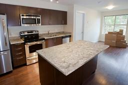 White Sand Granite - lzsjtnregaahsbgz8mcr@2x.jpg