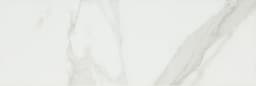 Platinum Magnolia Rectangle 12X24 Matte - m1ra3cp0qnkeblaaddum@2x.jpg