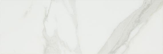 Platinum Magnolia Rectangle 12X24 Matte - m1ra3cp0qnkeblaaddum@2x.jpg