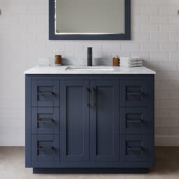 Miranda Single Bathroom Vanity - 42W x 33.75H x 22D - m6nwl9jo8rgq140kse6m@2x.jpg