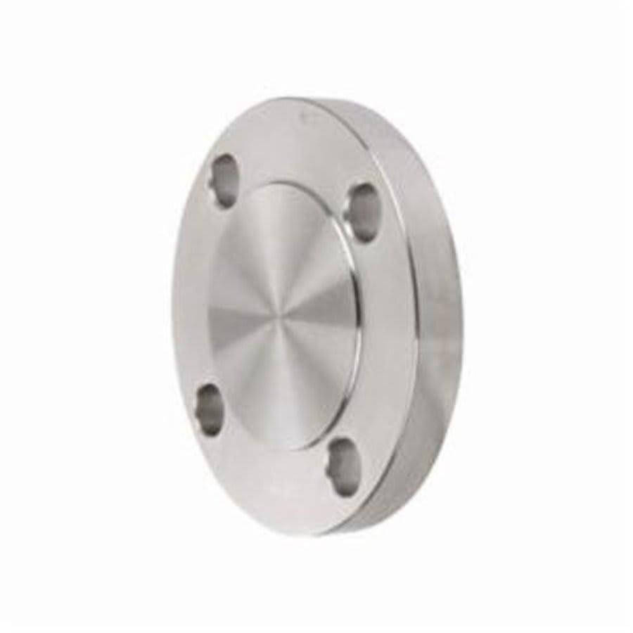 Raised Face Flange, 1-1/2 in, Blind, 150 lb, 5 in OD, 5/8 in Bolt Hole Size, 304/304L Stainless Steel - m7hrlgp3x0pylhfuu8ag@2x.jpg
