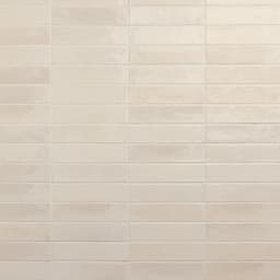 Remedy Tonic Rectangle, Fluted 2X10 Glossy - m7xzgy7f7usjxeva04eq@2x.jpg