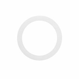 Washer, For Use With Ellworth™ Highline™ Toilet - mbl1l8nlyqxxbudynggy@2x.jpg