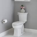 Edgemere Wall Mounted Pivoting Toilet Paper Holder - mdss9lygvlqeg0392hhl@2x.jpg