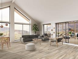 Aspenwood Ash - mey3b3exvcvbsoavidi5@2x.jpg