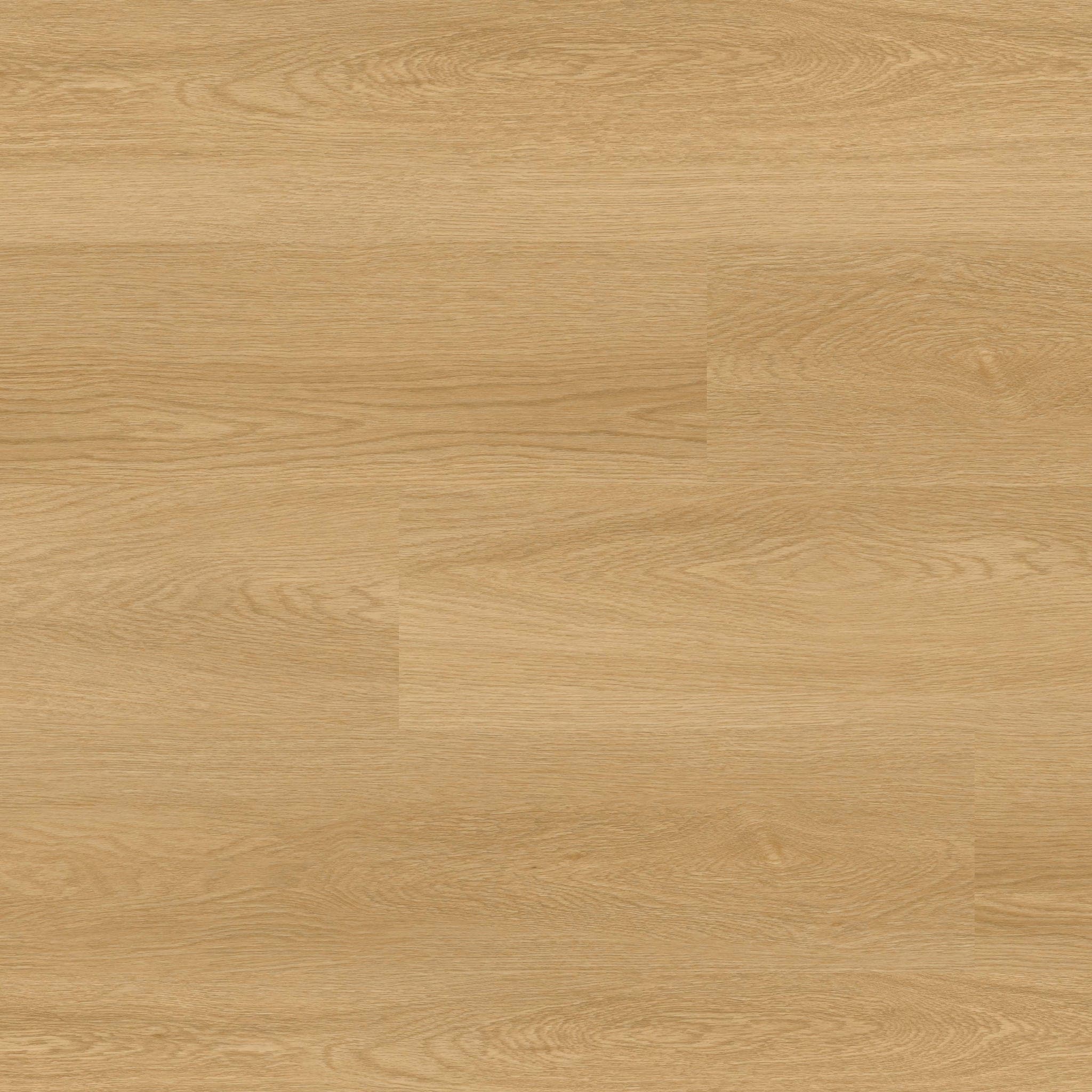 NOVE PLUS BAYSIDE BUFF 9X48