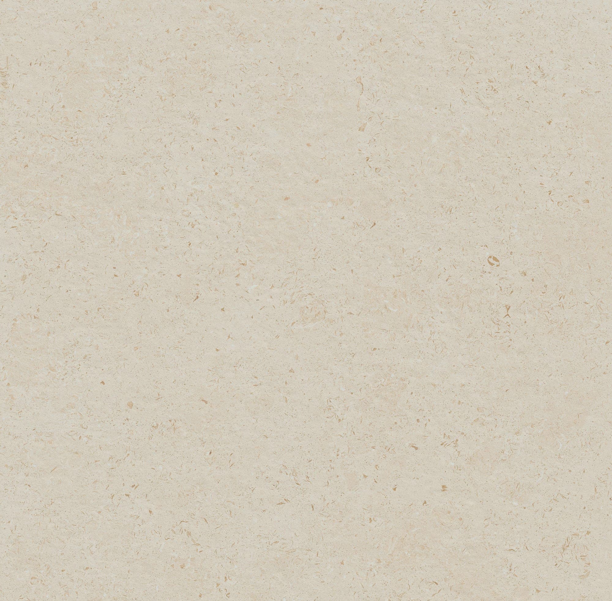 LIMESTONE BEIGE 24X48