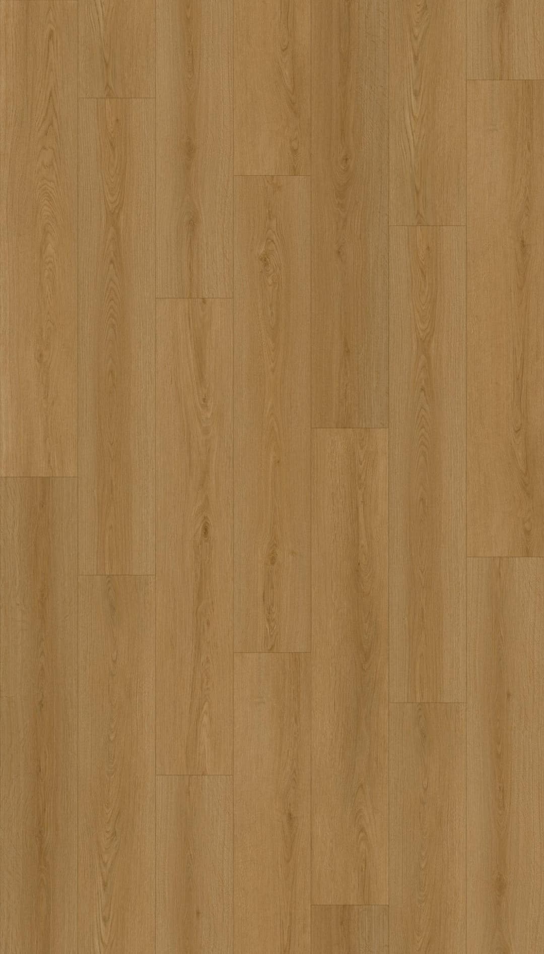 Shasta - mhv31fmw5v3pl3bfpevn@2x.jpg