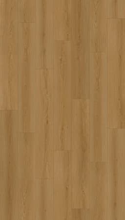 Shasta - mhv31fmw5v3pl3bfpevn@2x.jpg