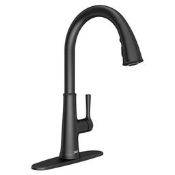 Renate 1.5 GPM Single Hole Pull Down Kitchen Faucet - Includes Escutcheon - mjwf3j3dbp3hxvy7zumf@2x.jpg