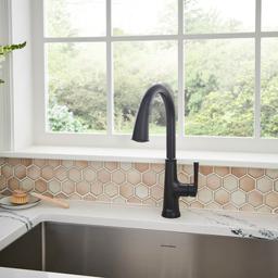 Renate 1.5 GPM Single Hole Pull Down Kitchen Faucet - Includes Escutcheon - mk2retydfqiveehjogin@2x.jpg