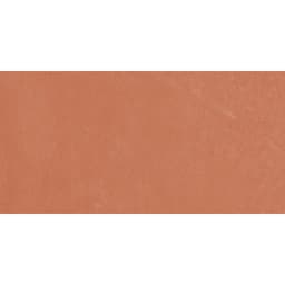 CLAYTONE CORAL MT 12X24 - mkengd5m2xjjsz0jhqkv@2x.jpg