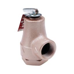 Pressure Relief Valve, 3/4 in, FNPT, Brass - mkkjnomx5xuaeq19ssyc@2x.jpg