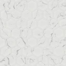 Carrara Matte 2" Hexagon - mkpde8o75e5kpi6det2m@2x.jpg