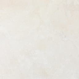 Haddonstone Peony Rectangle, Ridge 12X24 Textured - mlqm1cekyfuapjfkrcpa@2x.jpg