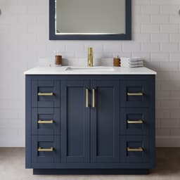 Miranda Single Bathroom Vanity - 42W x 33.75H x 22D - mltvbmnby0laurpke2jg@2x.jpg