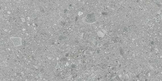 Assemble Proxy Rectangle 30X60 Matte - mmgydlnqfibjtuw9q1la@2x.jpg