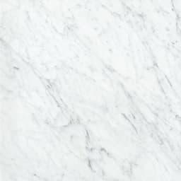 MARBLE BIANCO GIOIA PL 24X24 - mmnc5s6rntte1vy0bafa@2x.jpg