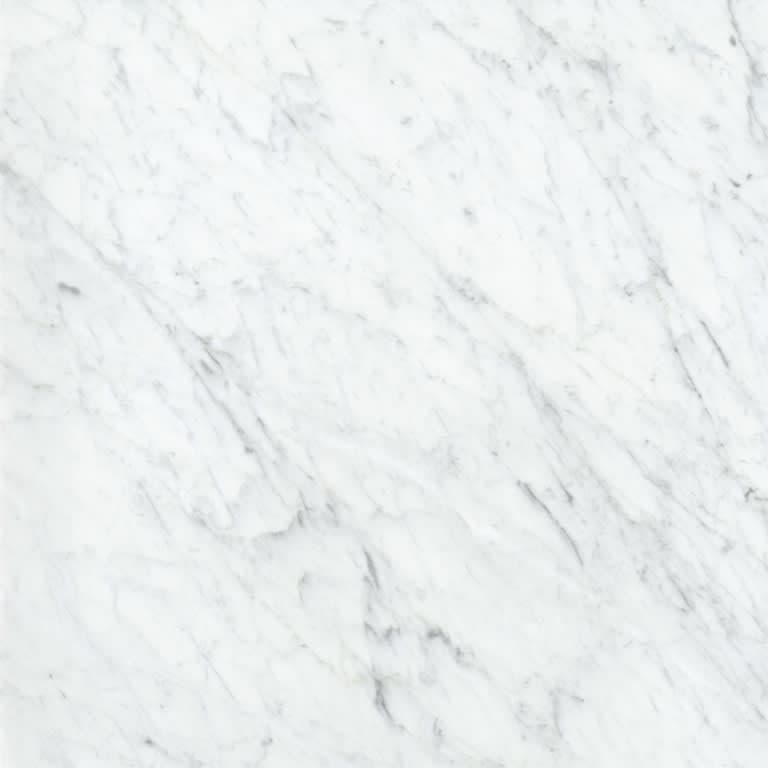 MARBLE BIANCO GIOIA PL 24X24