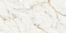 Calacatta Gold - mmnp8nk7pzdfz4uumzht@2x.jpg