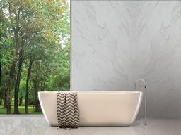 Calacatta Montreal Quartzite - mn4ke1s7aohiecrsv9vc@2x.jpg