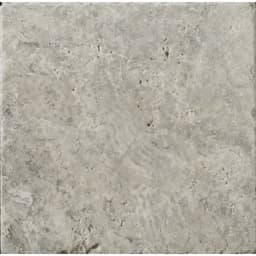 TRAV ANCIENT TUMB SILVER 8X8 - mnssvgatycpjrpzc6xwv@2x.jpg
