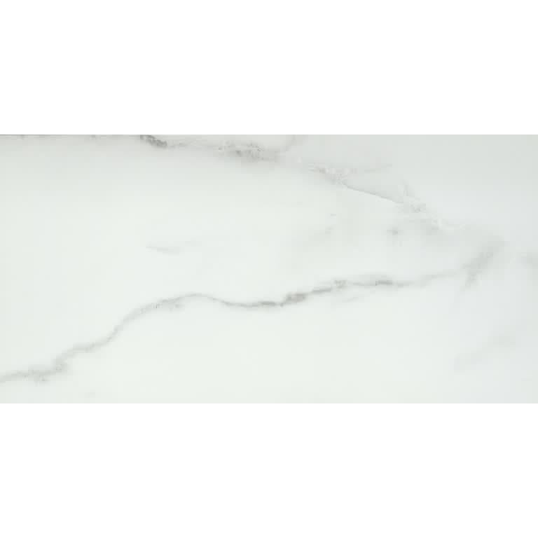 VISCONDE SILVER PL 12X24 - mobfcgkmcc4cjddpawjw@2x.jpg