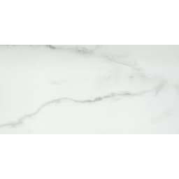 VISCONDE SILVER PL 12X24 - mobfcgkmcc4cjddpawjw@2x.jpg