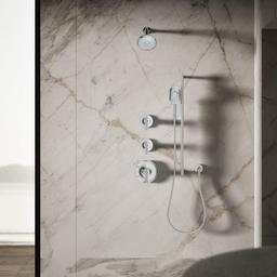 Forte 2.5 GPM Multi Function Shower Head - mpbxqgv5ljzienedsirb@2x.jpg