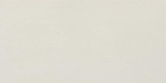 Theoretical Evolved Wishful White Rectangle 12X24 Textured - mpumaz1rpwvyvqvlwfry@2x.jpg