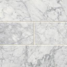 Carrara White Marble Subway Tile - mpzec1v5afyniegzqat0@2x.jpg