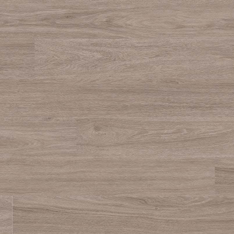 Katavia Bleached Elm® - mq4gwhtkytibpyhgc0sy_800x500@2x.jpg