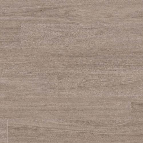 Katavia Bleached Elm® - mq4gwhtkytibpyhgc0sy_x500.jpg